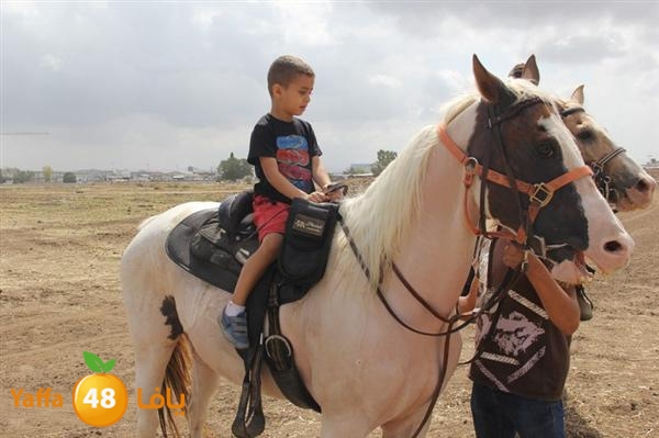 khoyoul lud 0610 (42).JPG